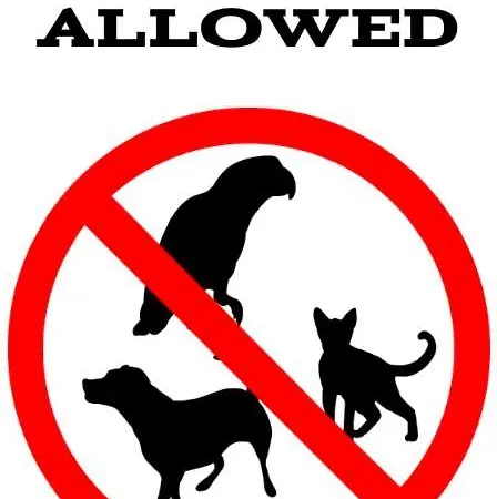 - Baltic Park Plaza - Orientalny * 슈비노우이스쳬